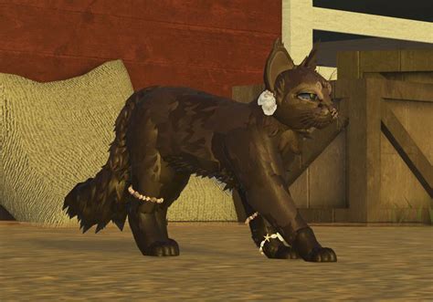 A Simple Brown Morph Made By Me In 2024 Warrior Cats Warrior Cat