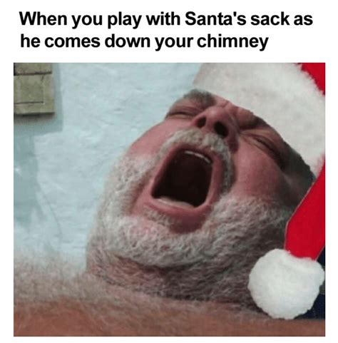 ONLY THE VERY BEST SANTA CLAUS MEMES The Howler Monkey