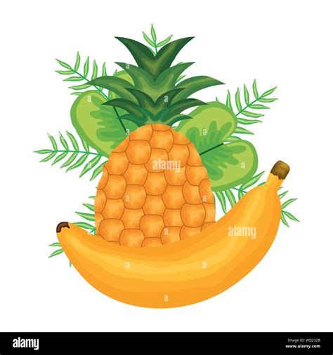 Fresh Banana And Pineapple Fruits Vector Illustration Design Stock Vector Image And Art Alamy