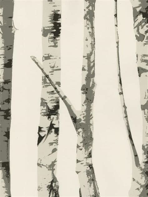 🔥 [40+] Birch Tree Silhouette Wallpapers | WallpaperSafari