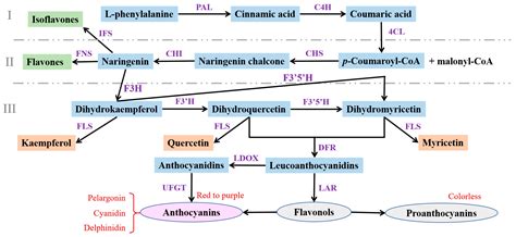 IJMS Free Full Text Overview And Recent Progress On The