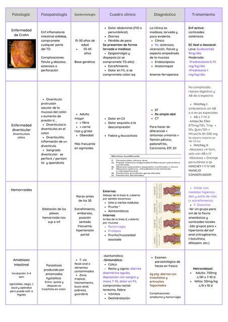 Gastroenterología Padecimientos Alondra Marin uDocz