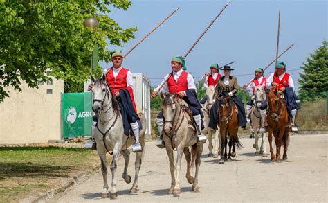 Milhares Na Feira Nacional De Agricultura