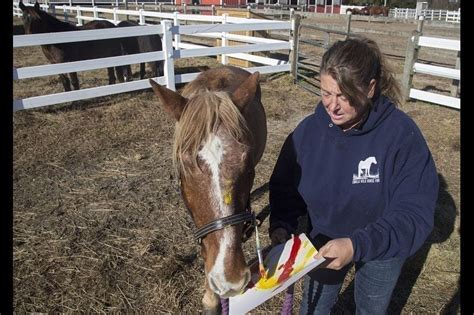 Rescued wild horses create paintings | Corolla Wild Horses | Corolla ...