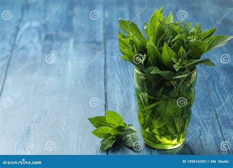 Menta Hojas Y Ramas De La Menta Salvaje Verde Fresca En Un Vidrio En