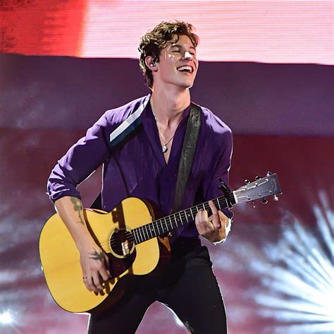 Shawn Mendes Actually Wrote "If I Can't Have You" for Dua Lipa to Sing ...