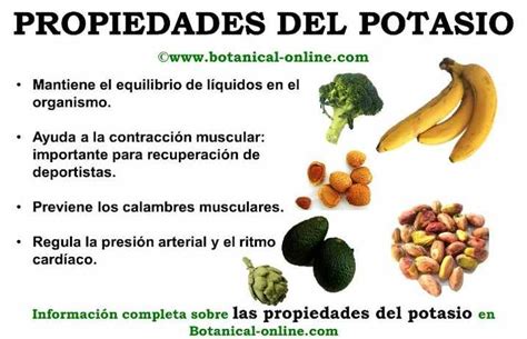 Cómo reducir el potasio de los alimentos Blog Belleza