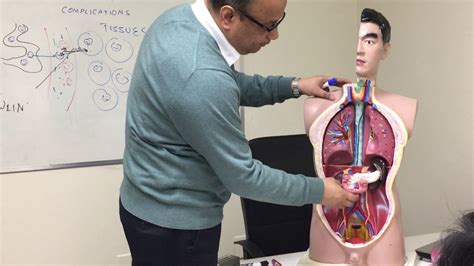 diabetes  macrovascular complications youtube