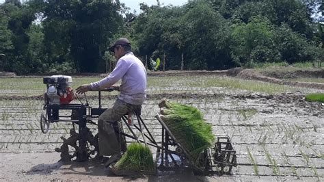 Diy Rice Transplanter Riding Type Tidak Menjual Product Youtube