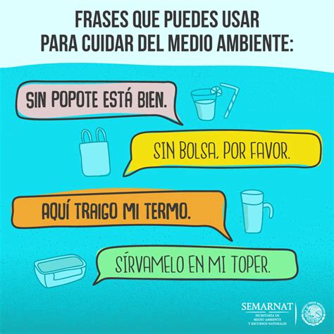 Las Mejores Frases De Cuidar El Medio Ambiente Que Te Motivarán