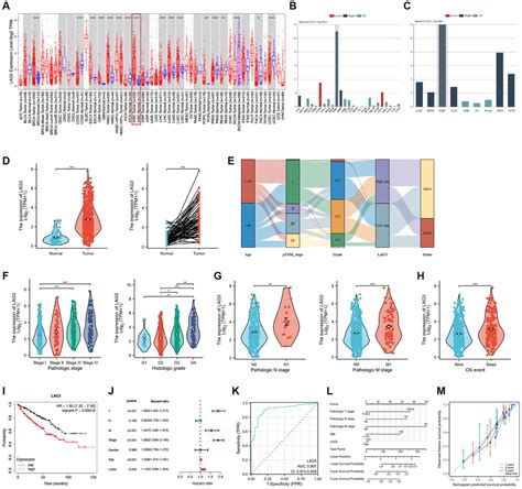 Integrative Analysis Of LAG3 Immune Signature And Identification Of A