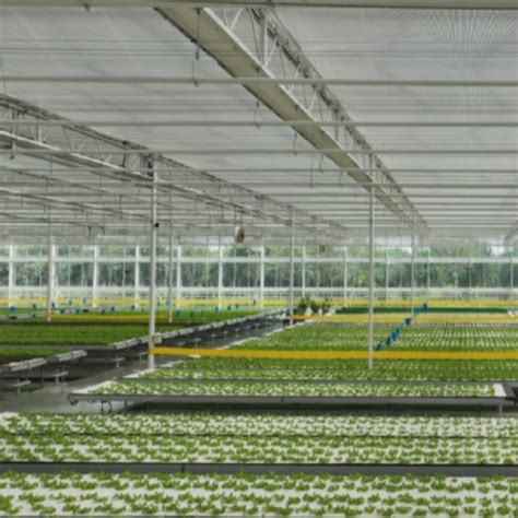 Hydroponic Tunnel Polycarbonate Sheet Pc Venlo Multi Span Agricultural