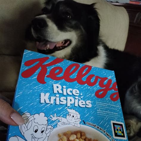 Kellogg Rice Krispies Reviews Abillion