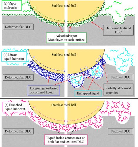 Boundary Lubrication Regime About Tribology