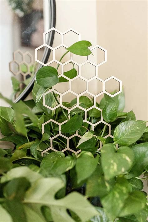 Honeycomb Plant Trellis Canopi Plants