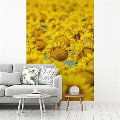 Fotobehang Zonnebloemen Veld Vol Gele Zonnebloemen Fotobehang Vinyl