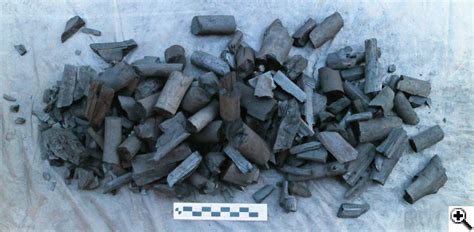 Review Of Big Green Egg Brazilian Lump Charcoal Naked Whiz Ceramic Charcoal Cooking