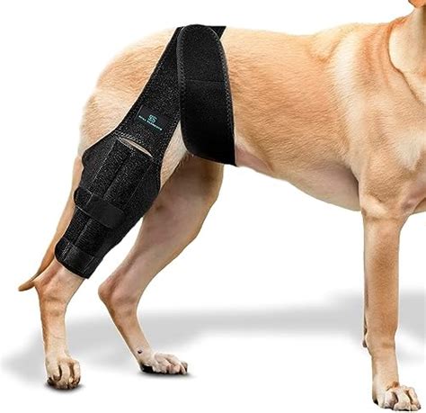 Dog Leg Braces For Back Leg Dog Knee Brace For Support With Cruciate