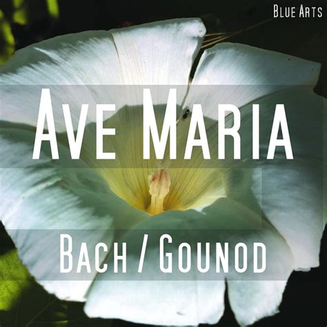 Ave Maria Bach Gounod Single By Gounod Johann Sebastian Bach