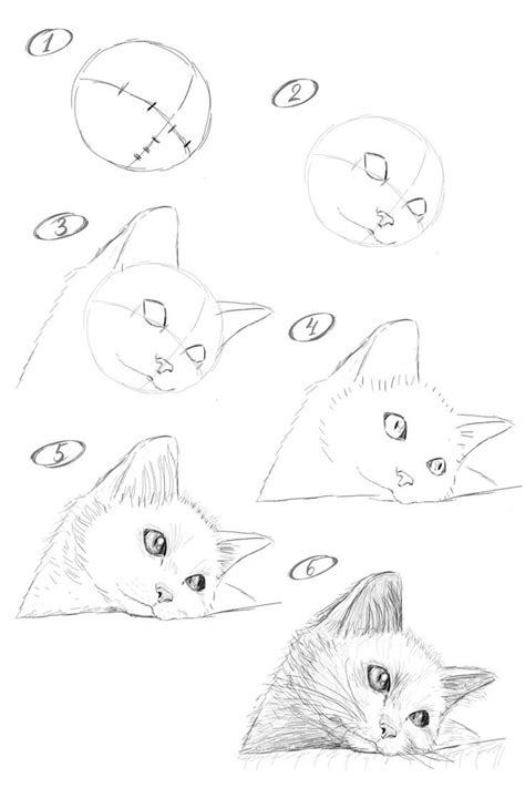 How To Draw A Sad Kitten Step By Step Drawing Lesson Drawing Lessons