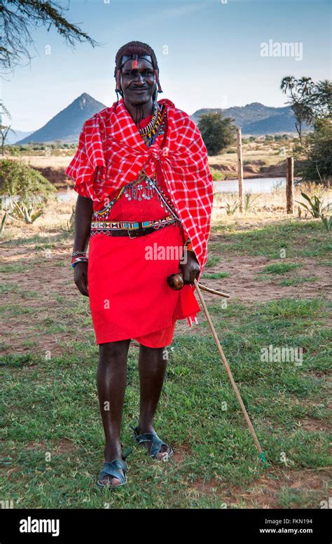 Masai Warrior In Traditional Dress With Rungu Weapon Samburu National