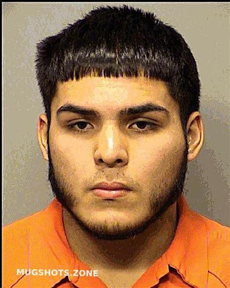 GUERRA LEONEL 11 19 2021 Porter County Mugshots Zone