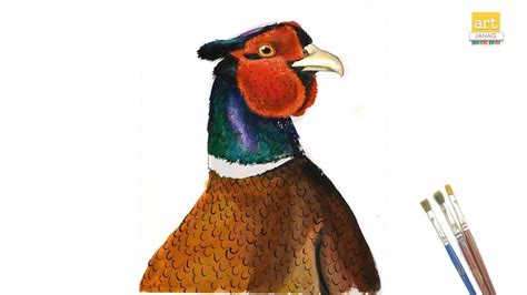 Pheasant Painting Ii How To Draw A Pheasant Step By Step Ii Artjanag