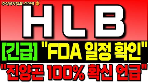 Hlb 주가 전망 긴급 Fda 일정 꼭 확인 하세요 진양곤 회장 100 승인 확정 언급 주주님들 필수 시청