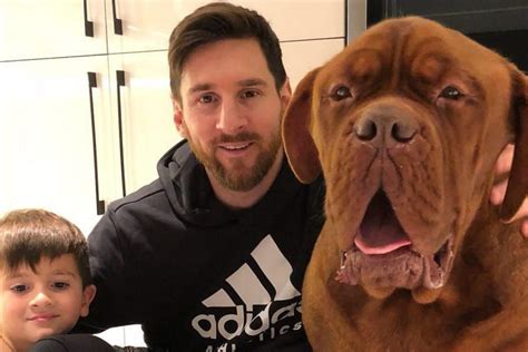 Lionel Messi Dog Breed