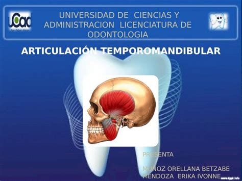 Pptx Articulaci N Temporomandibular George Dokumen Tips