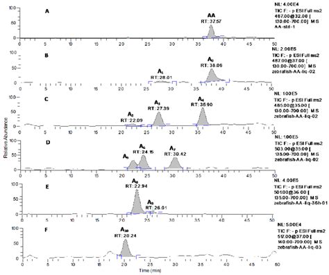 Lc Msms Chromatograms Of Aa At Mz 487 A And Its Metabolites With Download Scientific