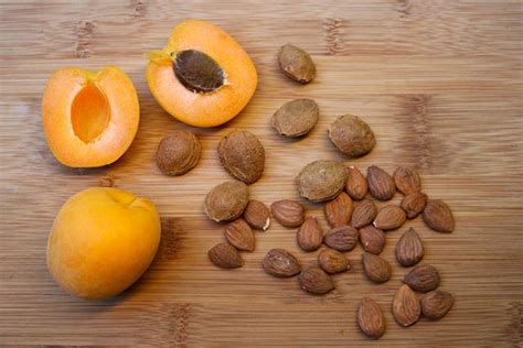 How To Grow Apricots From Seed In Pots Archives Igardenplan