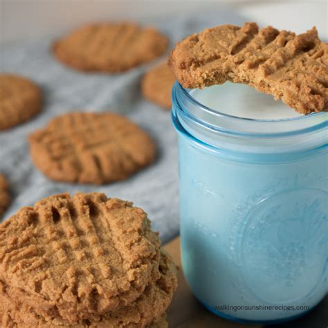 Sugarless And Flourless Peanut Butter Cookies Recipe Sugar Free