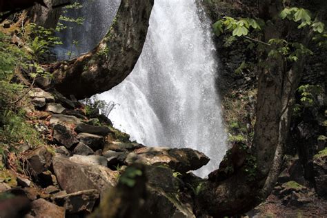 Free Images Tree Nature Forest Rock Waterfall Wilderness Flower