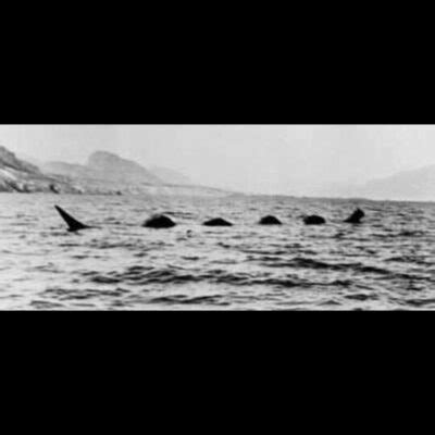 La Leyenda De La Gran Serpiente Marina En El Lago De Atitl N Guatemala