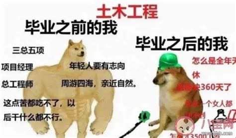 大学最后悔学的专业是什么 为什么很多人后悔学小语种 八宝网