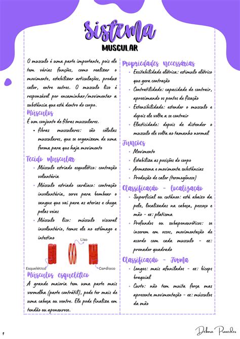 Solution Anatomia Humana Sistema Muscular Studypool