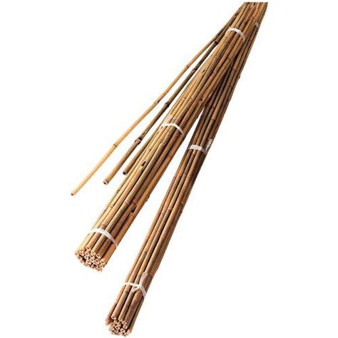 Bamboo Canes - various sizes - P&R Garden Supplies