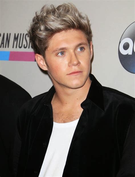 One Direction Ina Biografi Niall Horan