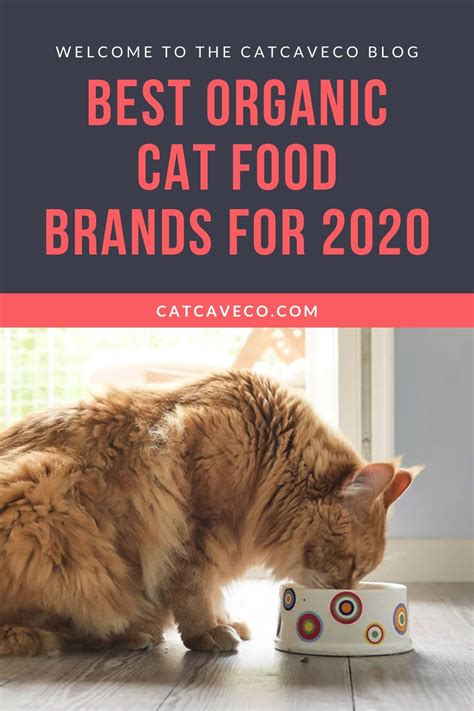 Best Organic Cat Food Brands For 2020 | Organic cat food, Cat food brands, Kitten food