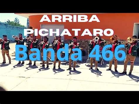 Arriba Pichataro Banda 466 Viral Youtube Youtubeshorts