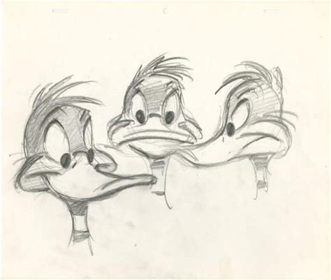 Daffy Duck Sketch at PaintingValley.com | Explore collection of Daffy ...