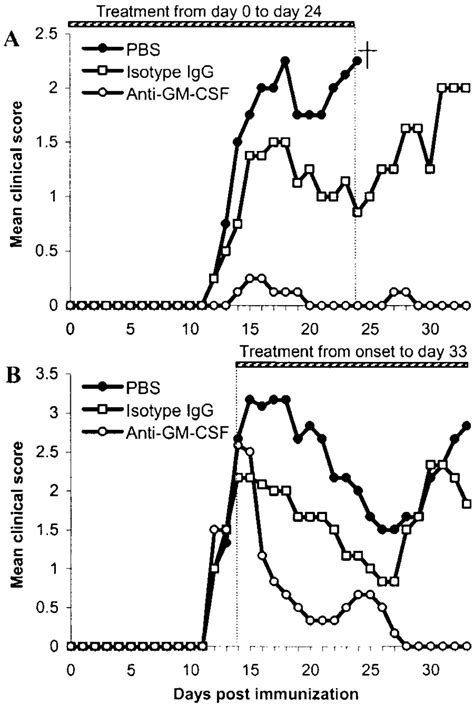 Influence Of Anti Gm Csf Mab On The Clinical Course Of Mog