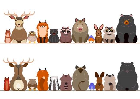 Bear Borders Clip Art 20 Free Cliparts Download Images On Clipground 2024