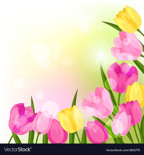 Spring Flowers Tulips Natural Background Vector Image