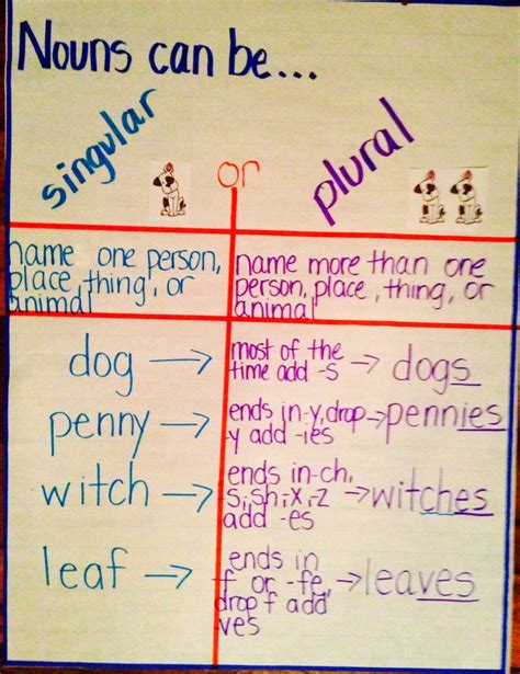 Singular And Plural Noun Anchor Chart