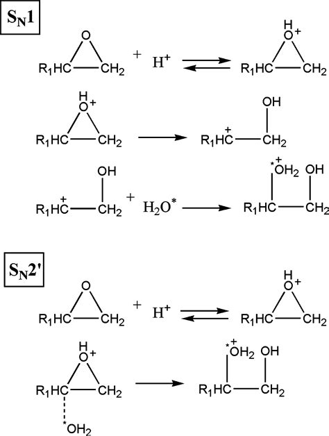 Acid Catalyzed Hydrolysis Mechanism