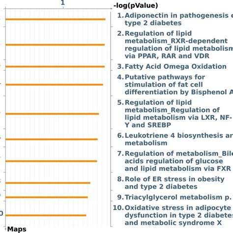 Adiponectin In Pathogenesis Of Type 2 Diabetes Pathway Map By Metacore Download Scientific