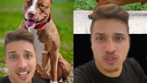 Influencer Volta A Julgar Tutores De C Es Pela Ra A Dos Pets Mulher