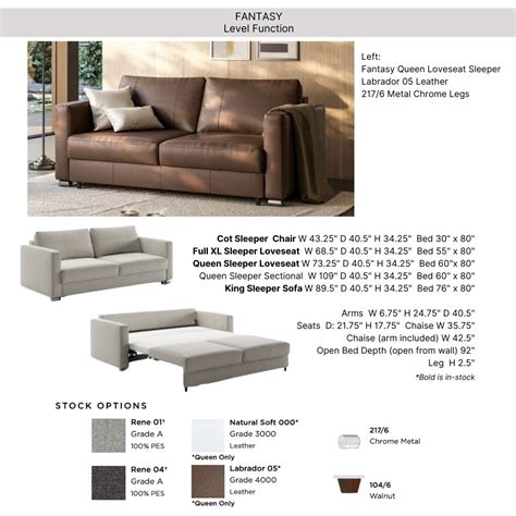 King Sleeper Sofa Leather Cabinets Matttroy